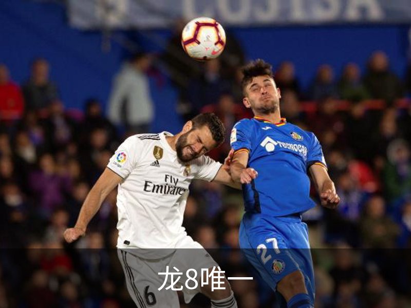 走进龙8唯一